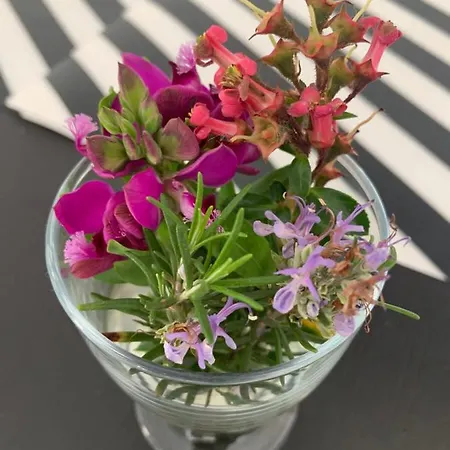 Apartmán Les Dromadaires Gruissan